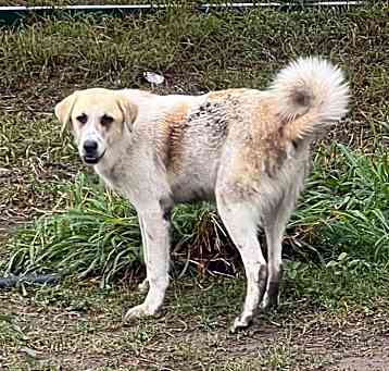 Photo of Winston