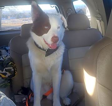 Photo of Blue
