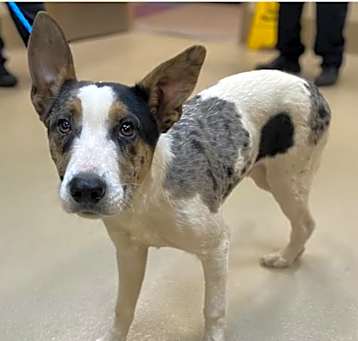 Photo of Clayton aka Little Guy