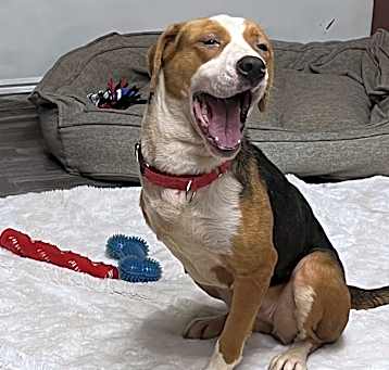 Photo of Molly