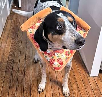 Photo of Yoshi