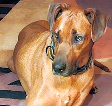 Photo of Jethro