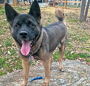 Photo of Hera