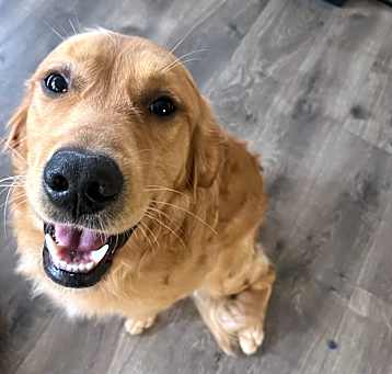 Photo of Finn