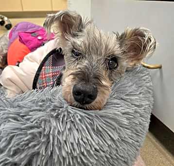 Photo of Minnie Pearl