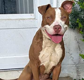Photo of Molly