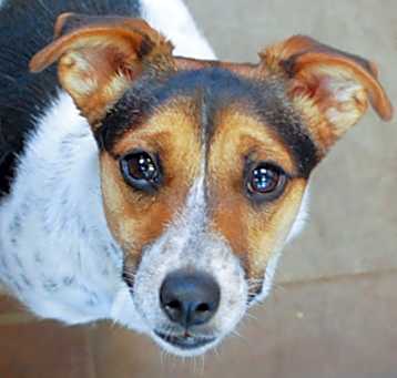 Photo of Zoe