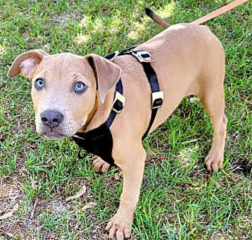 Photo of Bree