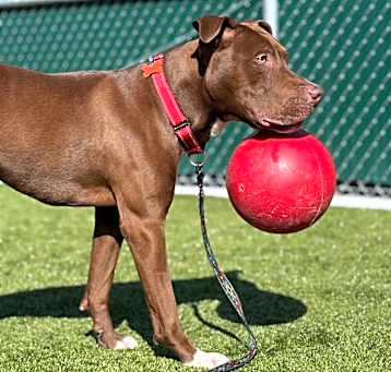 Photo of Hershey