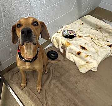 Photo of Oakley