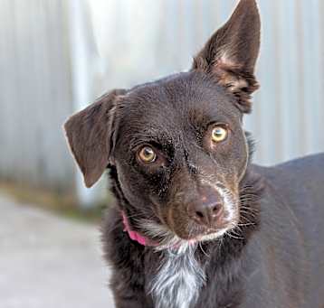 Photo of LuLu