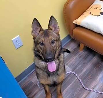 Photo of Artemis