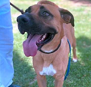 Photo of ROMEO