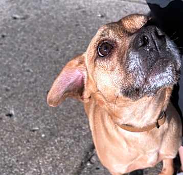 Photo of Jingle
