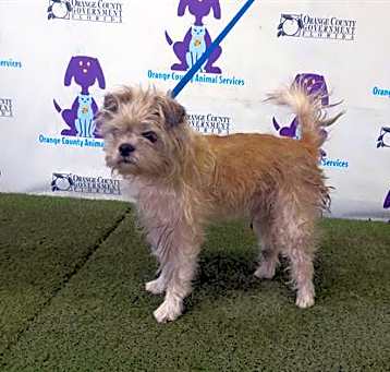 Photo of TEDDY BENJIE