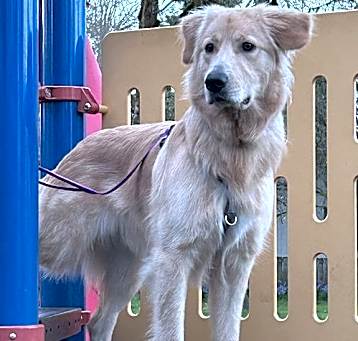 Photo of Haru