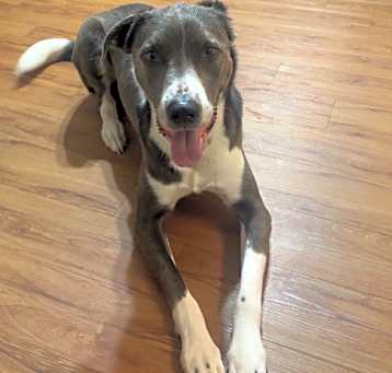 Photo of Debo