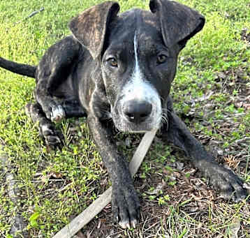 Photo of Jalen