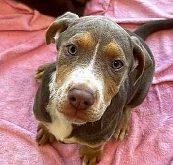 Photo of Tess