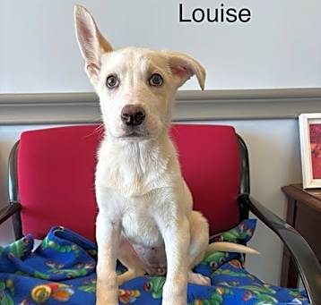 Photo of Louise