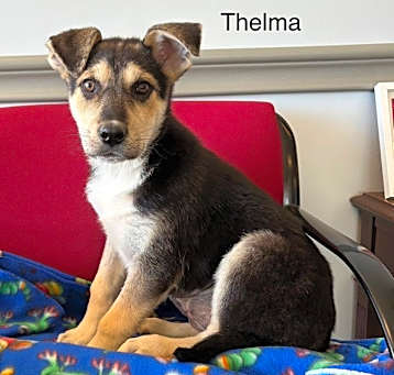 Photo of Thelma