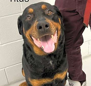 Photo of Titus