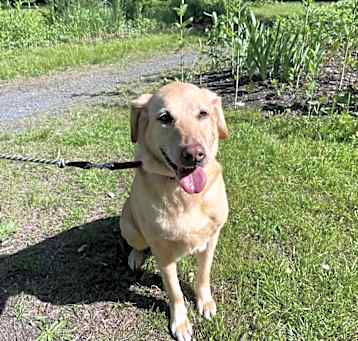 Photo of Maggie
