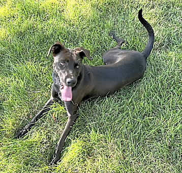 Photo of Lilly