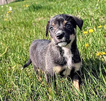 Photo of Cammie