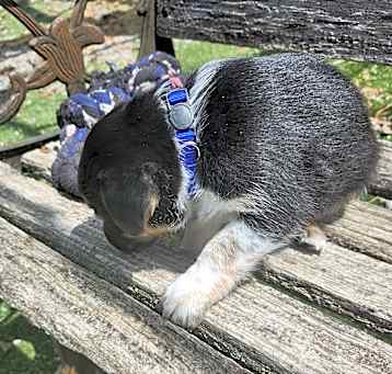 Photo of Willy