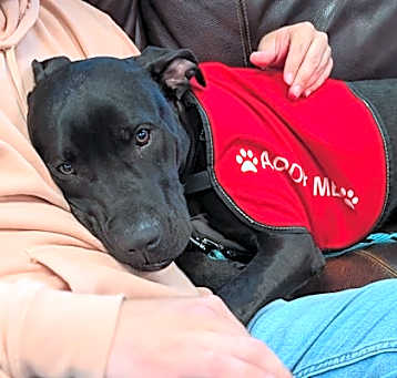 Photo of Titus