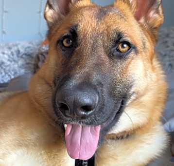 Photo of Oakely