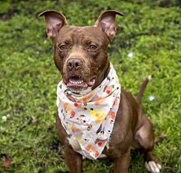 Photo of Polo