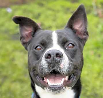 Photo of Webby