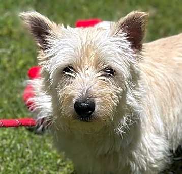 Photo of Wanda