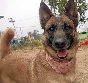 Photo of PRINCESS