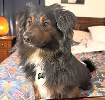 Photo of Roary