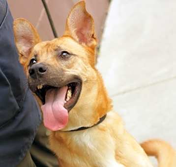 Photo of Sargento