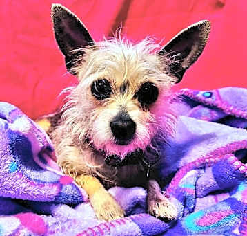 Photo of Delilah Daisy
