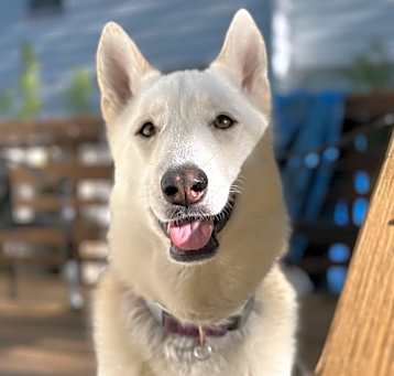 Photo of Delilah