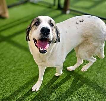 Photo of Maggie
