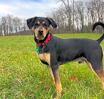 Photo of Rico