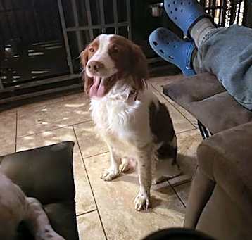 Photo of WA/Percy