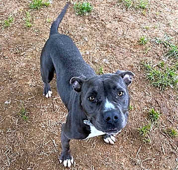 Photo of Luna 