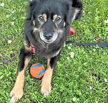 Photo of Duke CP