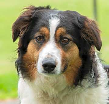 Photo of Doreen