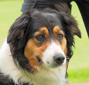 Photo of Sheila