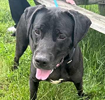 Photo of Vader