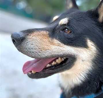 Photo of WYATT
