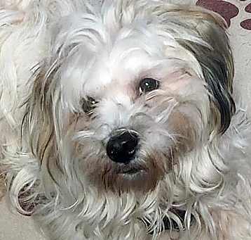 Photo of Loni
